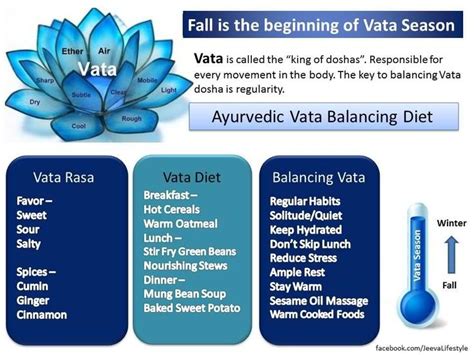 45 best Vata Dosha images on Pinterest | Health, Ayurveda vata and ...