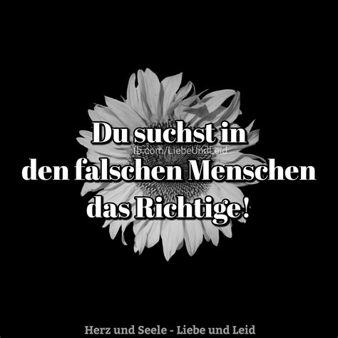 46+ Schöne Sprüche Für Falsche Menschen, Entdecke die besten ideen und