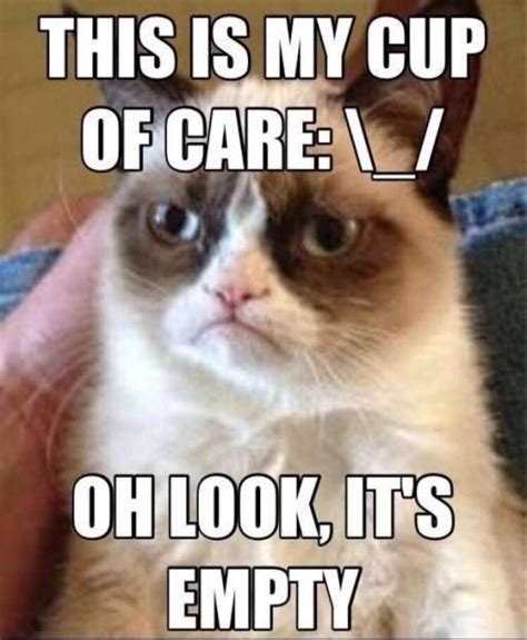 Pin On Grumpy Cat Humor Funny Grumpy Cat Memes Funny Cat Memes Grumpy Cat Humor