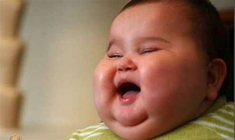 Funny Fat Baby Picturesreadtosee