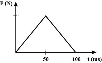 State the relationship between force. mass and acceleration. Draw ...