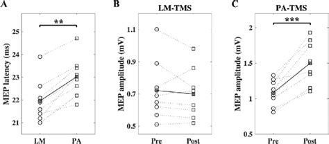 The Effects Of Theta Burst Patterned Transcranial Ultrasound