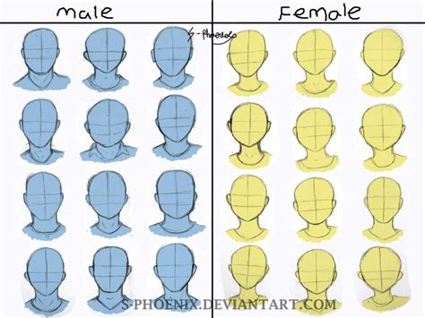 Male And Female Face Shape Reference By S Phoenix On Deviantart Anime Face Shapes Drawing