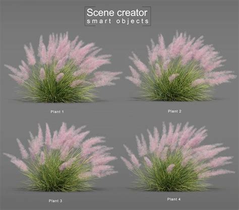 Premium PSD 3d Rendering Of Pink Flamingo Muhly Grass Pink Grass