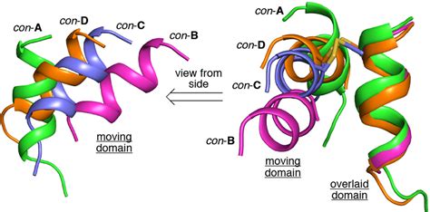 Figure From Engineering The Hcrbpii Domain Swapped Dimer Into A New