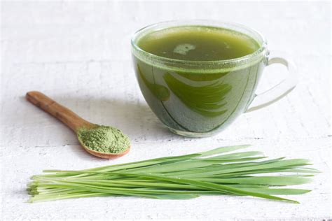 Barley Grass Recipe, How to make Barley Grass Recipe - Vaya.in