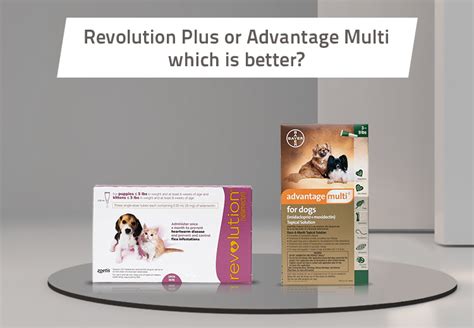 Revolution Plus Or Advantage Multi Which Is Better Blog Bestvetcare