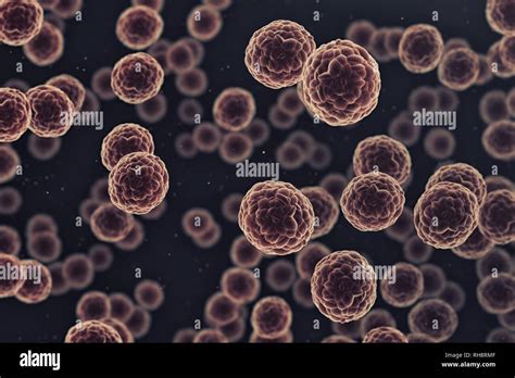 Types Of Cancer Cells Under Microscope