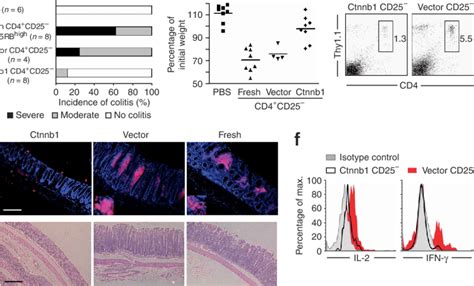 Cd4 Cd25 T Cells Expressing Stable B Catenin Do Not Induce Ibd In