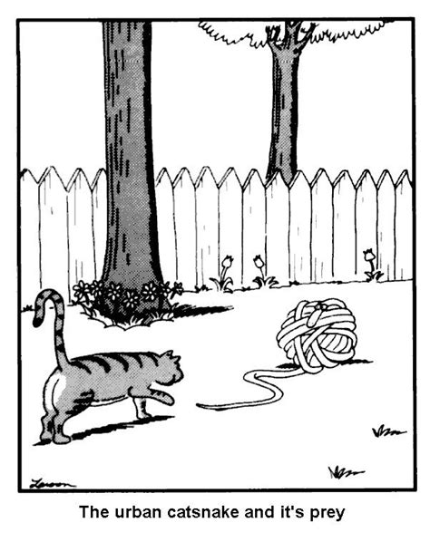 Cat Snake Far Side Cartoons Far Side Comics Gary Larson Cartoons