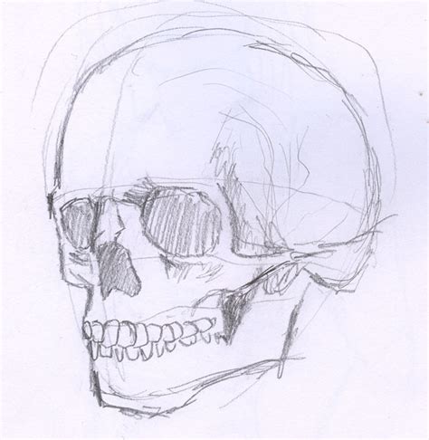 skull sketch | Skull sketch, Hand art drawing, Human anatomy art