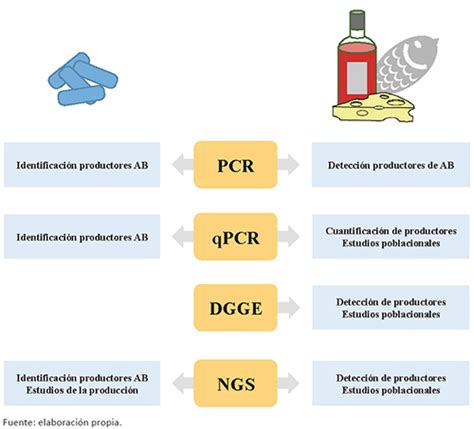 Aminas Bi Genas En Alimentos M Todos Moleculares Para La Detecci N E