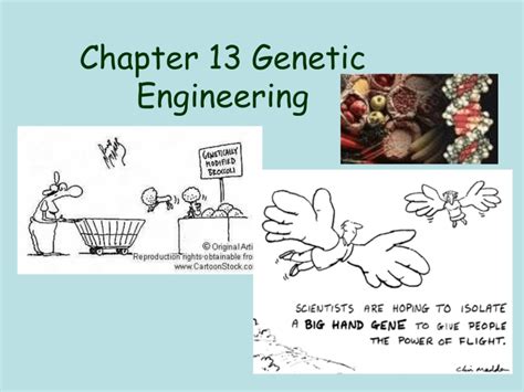 Chapter 13 Genetic Engineering