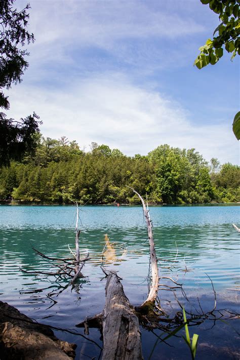 Photo Print New York Wall Art Trees Green Lakes Park Landscape