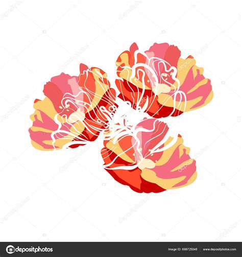 Red Poppies Flower Heads Outline Vector Illustration Stock Vector By