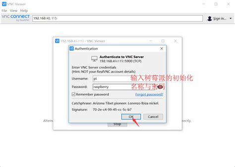 树莓派vnc Viewer 远程桌面配置教程 红颜丽人