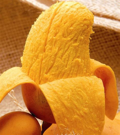 Origen Del Mango Ataulfo Una Fruta 100 Mexicana México Desconocido