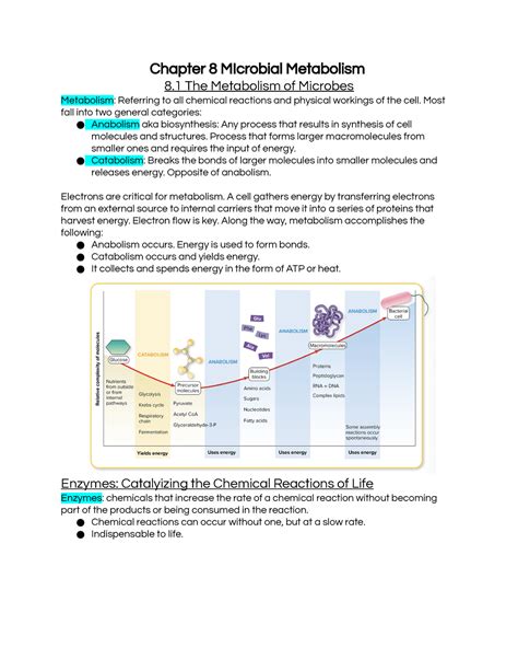 Microbiology Chapter Microbial Metabolism Chapter Microbial