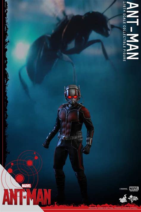 Hot Toys Mms Ant Man Hot Toys Complete Checklist