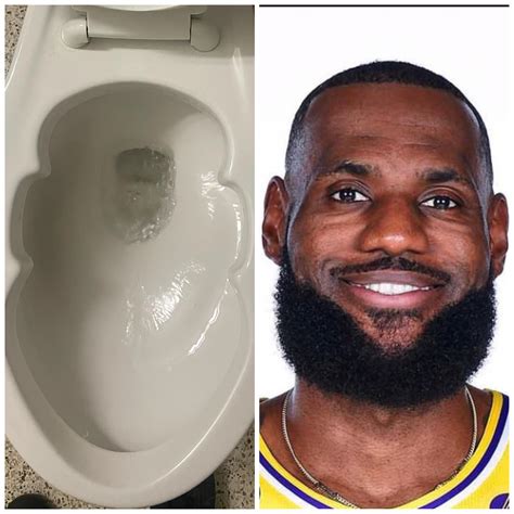 Lebron James Monkey Meme
