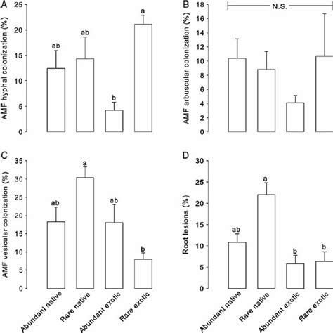 Arbuscular Mycorrhizal Fungal Colonization By Hyphae A Arbuscules