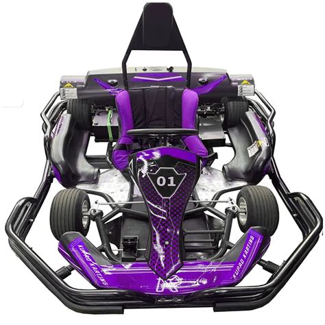 Hot High Performance Cc Hon Professional Cc Karting With Rear