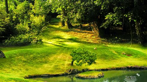 PICTURES GAY BIG DICK CALINESCU MARIUS Gay Ragazzi Pics Nude Gay Adolescenti Ragazzi Calde