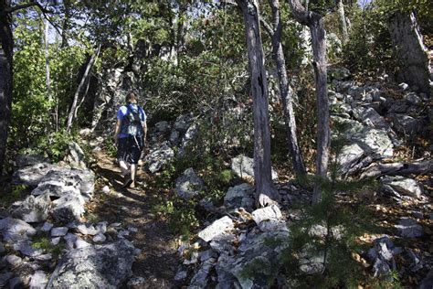 Rocky Mount Trail - The Hoppy Hikers