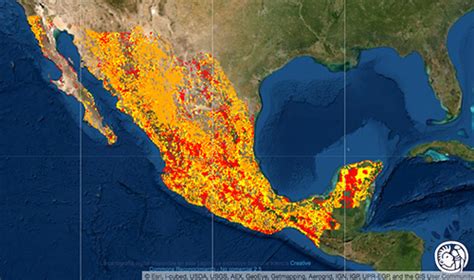 Sitios prioritarios para la restauración Biodiversidad Mexicana