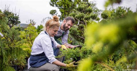 What Is The Meaning Of “bonsai” By Edith Tiempo Bonsai Tree Help