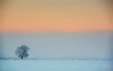 Snowy Landscape With Tree Photos