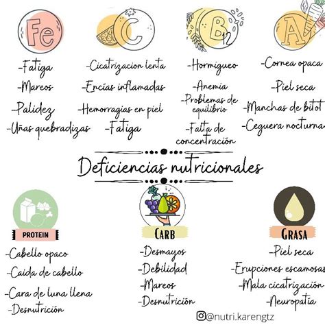 Deficiencias Nutricionales Alimentacion Equilibrada Alimentacion