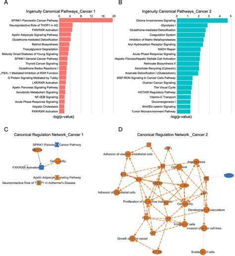 Ingenuity Canonical Pathways And Related Pathway Networks Of The Cancer