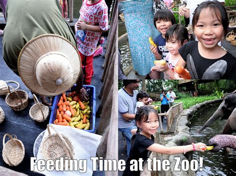 feeding-time-at-zoo.jpg - Ed Unloaded.com | Parenting, Lifestyle ...