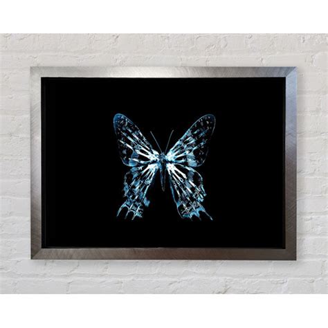 Bright Star Schmetterling X Ray Einzelner Bilderrahmen Kunstdrucke