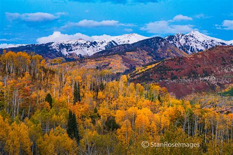 Colorado Fall Colors, 2023 | Stan Rose Photography