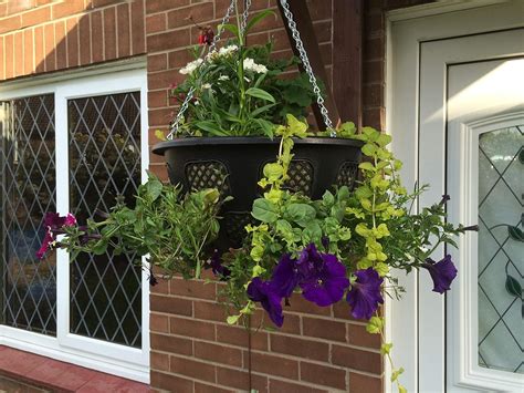 3 X Plantopia Easy Fill Hanging Baskets Planters Black