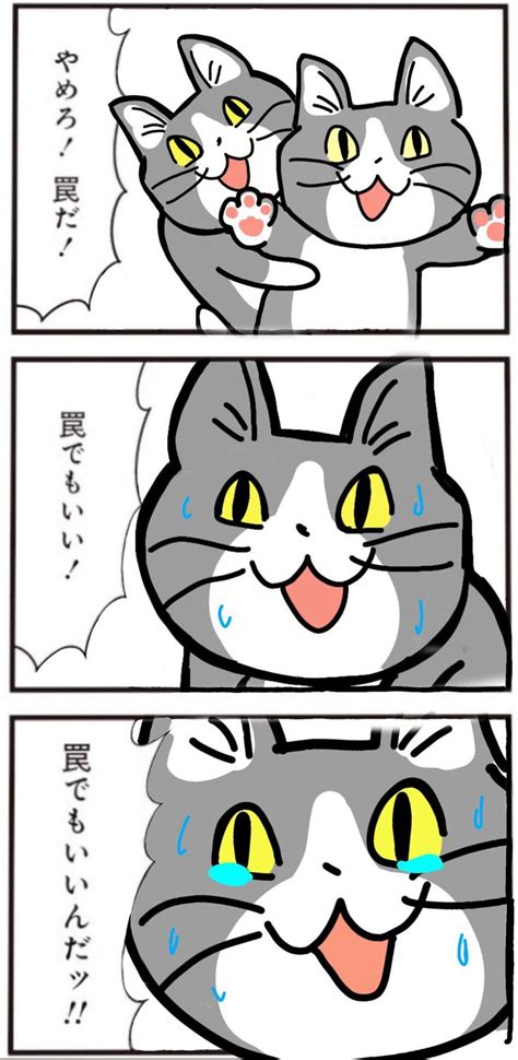 現場猫bot On Twitter 今日も一日 おもしろ猫のミーム 猫のポーズ 一発ギャグ