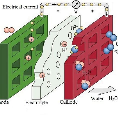 Schematic diagram of proton exchange membrane fuel cell | Download ...