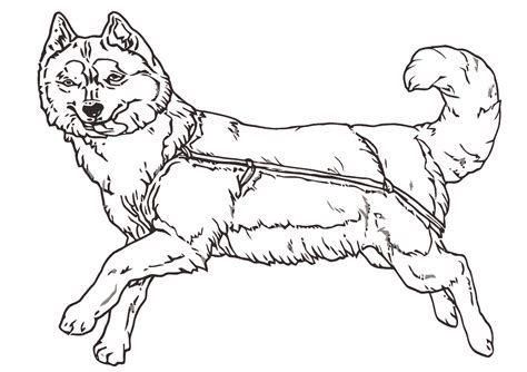 Husky Printable Coloring Pages Printable Word Searches