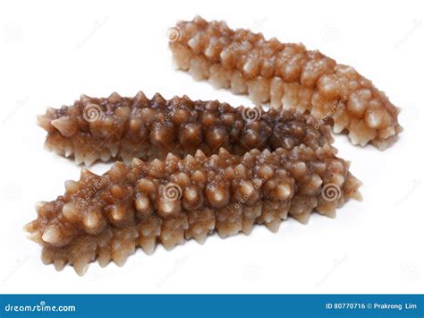 Sea Cucumbers (echinoderms) For Sale At Fish Market, South Korea ...