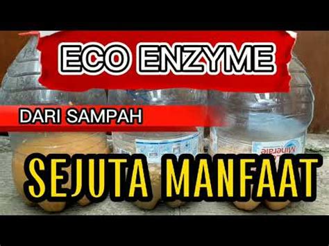 ECO ENZYME Cara Membuat Eco Enzyme Tanpa LEDAKAN YouTube