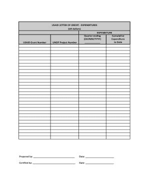 Fillable Online Popp Undp Usaid Letter Of Credit Expenditures Popp