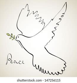 Dove Olive Branch Vector Illustration Stock Vector (Royalty Free ...