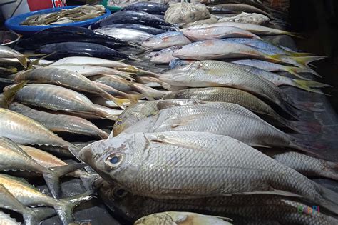 Harga Ikan Di Pasar Kendari Jelang Iduladha 2022 Sultra