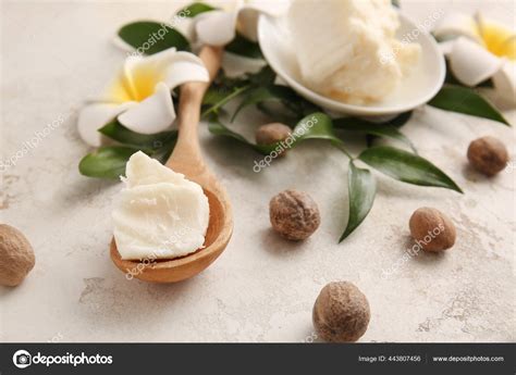 Spoon Shea Butter Light Background Stock Photo By ©serezniy 443807456