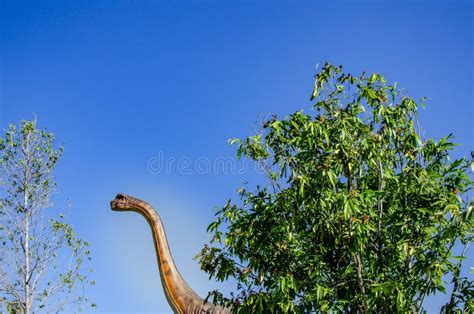 Pescoço E Cabeça Do Dinossauro Foto de Stock Imagem de parque objeto