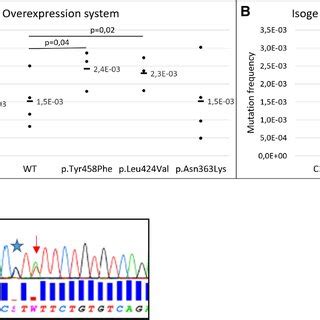 Exonuclease repair yeast-based assay. a Box plots showing the mutation... | Download Scientific ...