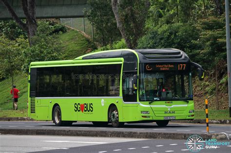 Bus 177 Tower Transit MAN A22 SMB3072H Hari Raya Land Transport