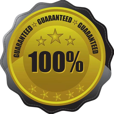 100 percentage customer satisfaction guaranteed badge 7702601 Vector ...